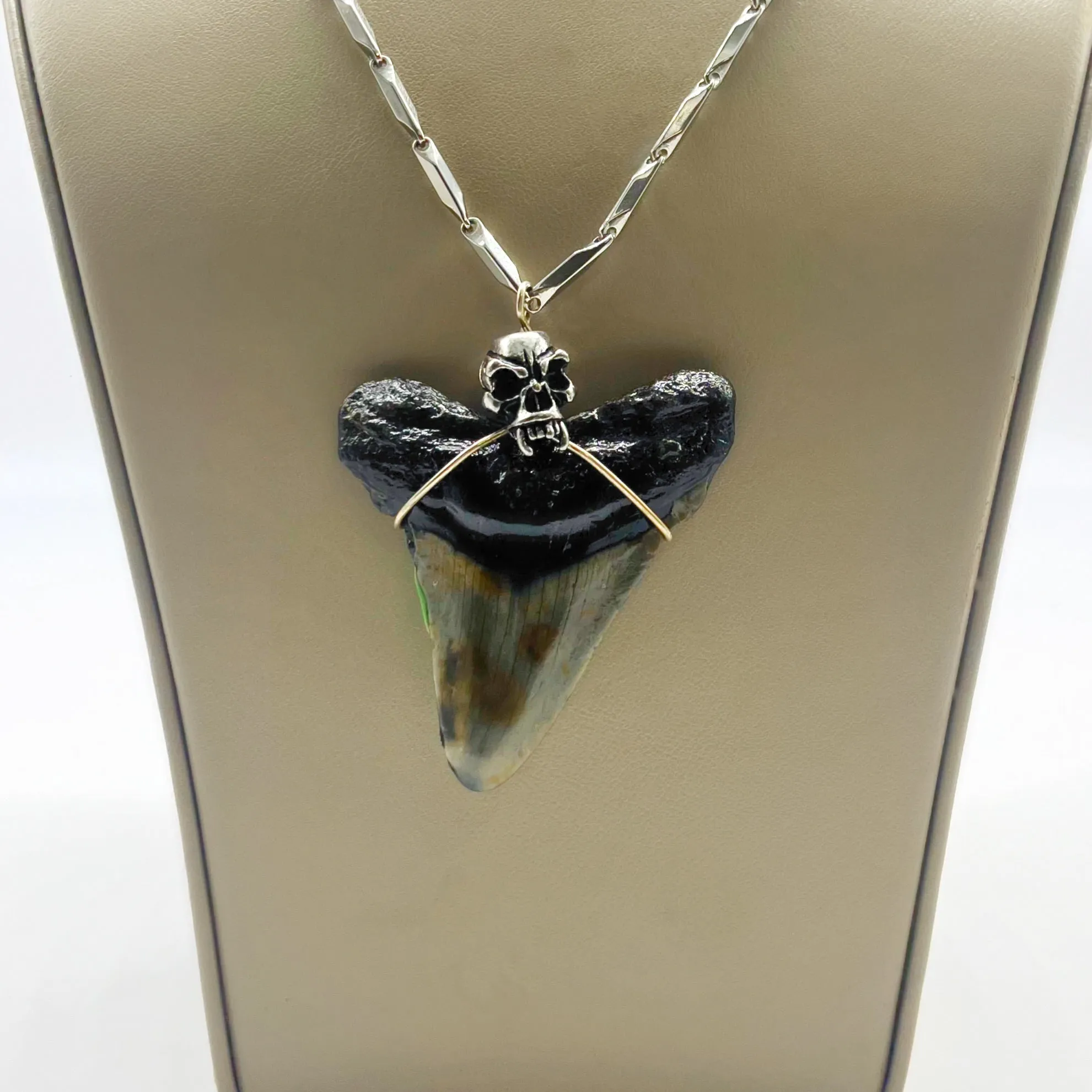 Megalodon Tooth Sterling Silver Necklace (Authentic)