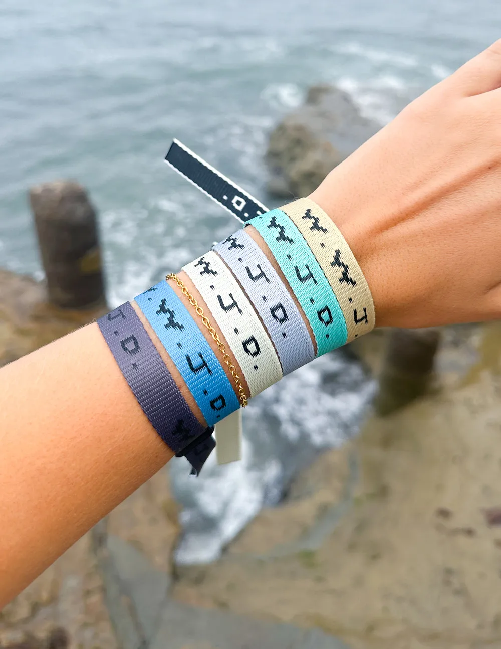 WWJD Surf Bracelet Pack