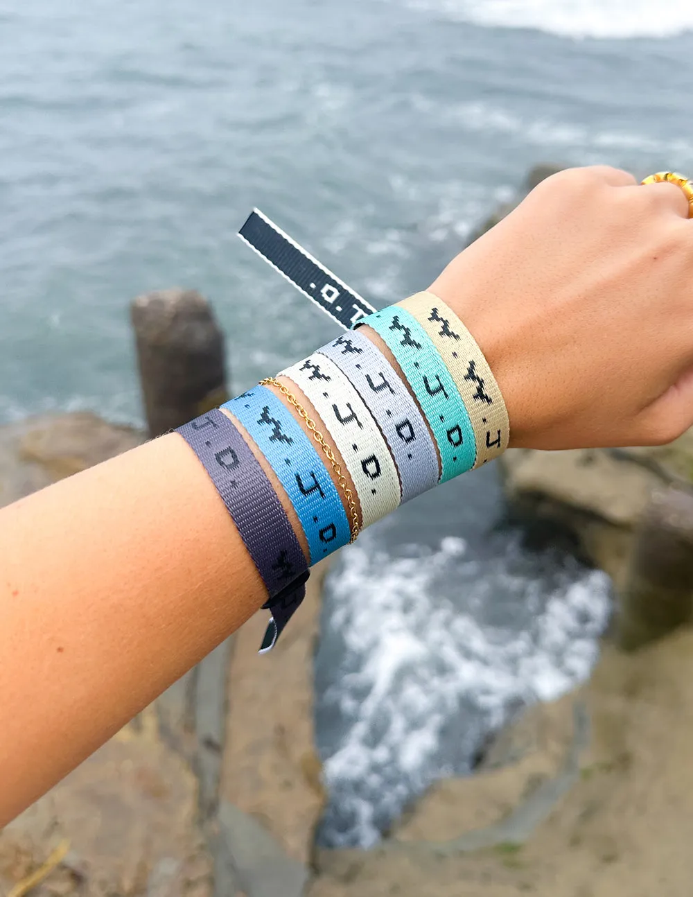 WWJD Surf Bracelet Pack